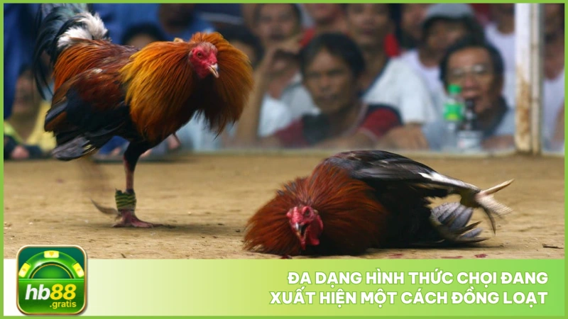 Đa dạng hình thức chọi đang xuất hiện một cách đồng loạt