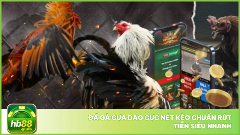 Đá gà cựa dao tại hb88 - Luật chơi và cách cược chuẩn 2 Đá gà cựa dao cực nét kèo chuẩn rút tiền siêu nhanh