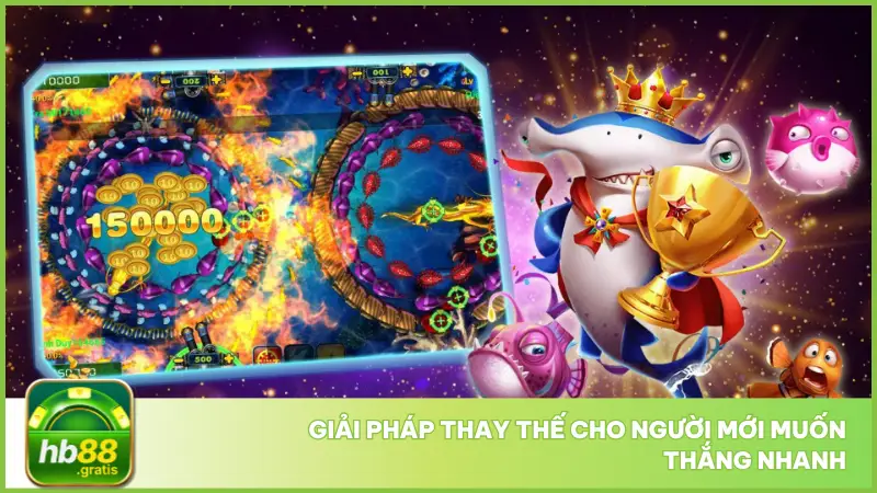 Người mới có thể lựa chọn hướng đi hiệu quả và bền vững hơn