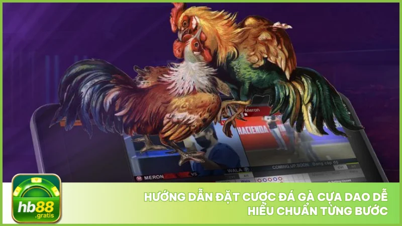 Đá gà cựa dao tại hb88 - Luật chơi và cách cược chuẩn 4 Hướng dẫn đặt cược đá gà cựa dao dễ hiểu chuẩn từng bước
