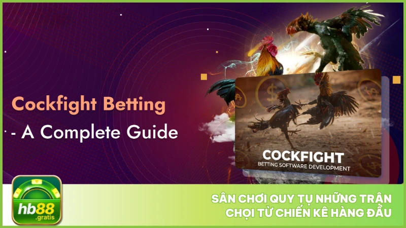 Sân chơi quy tụ những trận chọi từ chiến kê hàng đầu